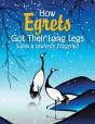 How Egrets Got Their Long Legs - Preview
