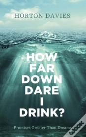 Capa do artigo How Far Down Dare I Drink?