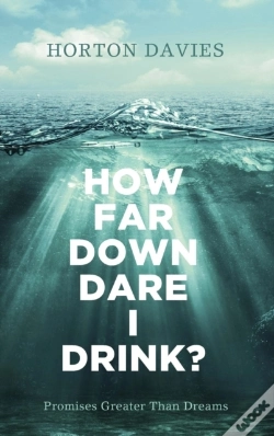 Capa do artigo How Far Down Dare I Drink?