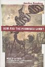 How Far The Promised Land? - Preview