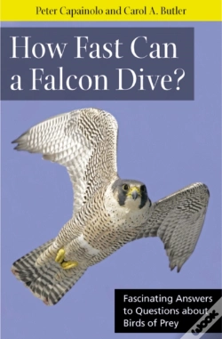 Capa do artigo How Fast Can A Falcon Dive?