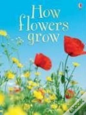 Capa do artigo How Flowers Grow