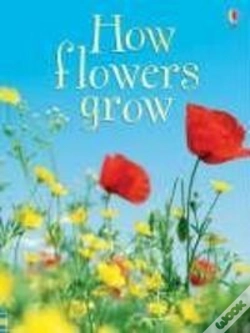 Capa do artigo How Flowers Grow