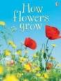 How Flowers Grow - Preview
