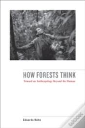 Capa do artigo How Forests Think