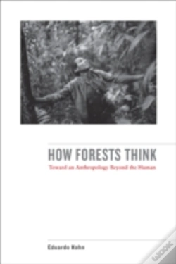 Capa do artigo How Forests Think
