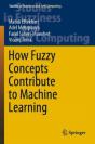 How Fuzzy Concepts Contribute To Machine Learning - Preview