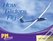 Capa do artigo How Gliders Fly