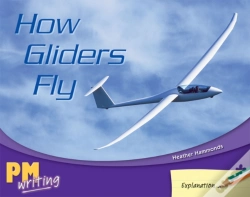 Capa do artigo How Gliders Fly