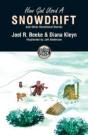How God Used A Snowdrift - Preview