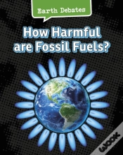 Capa do artigo How Harmful Are Fossil Fuels?