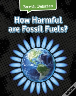 Capa do artigo How Harmful Are Fossil Fuels?