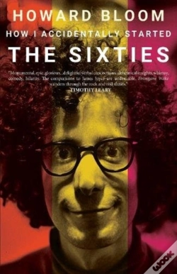 Capa do artigo How I Accidentally Started The Sixties