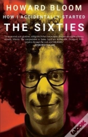 Capa do artigo How I Accidentally Started The Sixties
