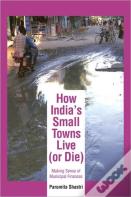 How India'S Small Towns Live (Or Die)