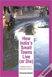 How India'S Small Towns Live (Or Die)