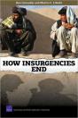 How Insurgencies End - Preview
