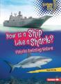 How Is A Ship Like A Shark? - Preview