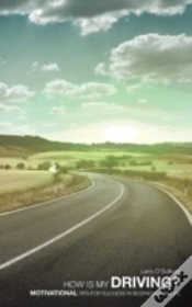Capa do artigo How Is My Driving?: Motivational Tips Fo