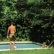 Capa do artigo How It Ends - CD