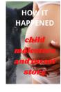 How It Happened - Preview