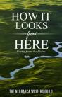 How It Looks From Here - Preview
