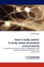 How It Really Works? A Study About Innovation And Proximity - Preview
