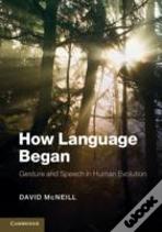 How Language Began