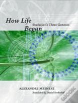 How Life Began