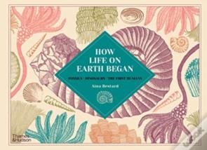 How Life On Earth Began