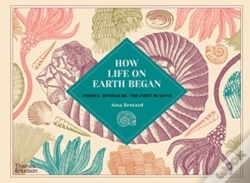 Capa do artigo How Life On Earth Began