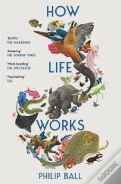 Capa do artigo How Life Works