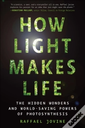 Capa do artigo How Light Makes Life