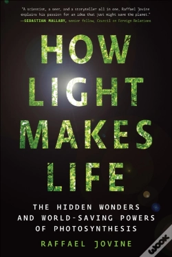 Capa do artigo How Light Makes Life
