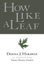 How Like A Leaf - Preview