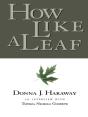 How Like A Leaf - Preview