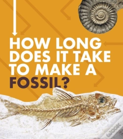 Capa do artigo How Long Does It Take To Make A Fos