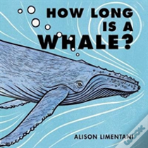 How Long Is A Whale?
