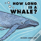 How Long Is A Whale?