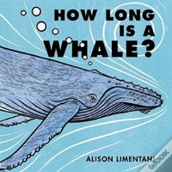 Capa do artigo How Long Is A Whale?