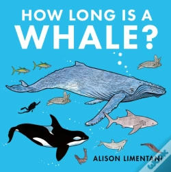 Capa do artigo How Long Is A Whale?
