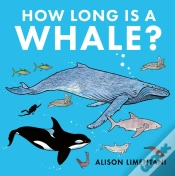 Capa do artigo How Long Is A Whale?