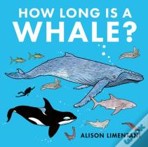 How Long Is A Whale?