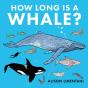 How Long Is A Whale? - Preview