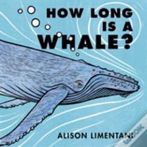 How Long Is A Whale?