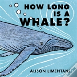 Capa do artigo How Long Is A Whale?