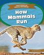 How Mammals Run - Preview
