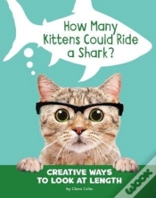 Capa do artigo How Many Kittens Could Ride A Shark?