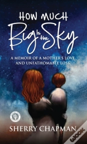Capa do artigo How Much Big Is The Sky