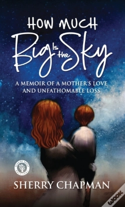 Capa do artigo How Much Big Is The Sky